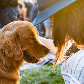 Coastal North Carolina’s Emergency Animal Shelters: Caring for Pets During Storms